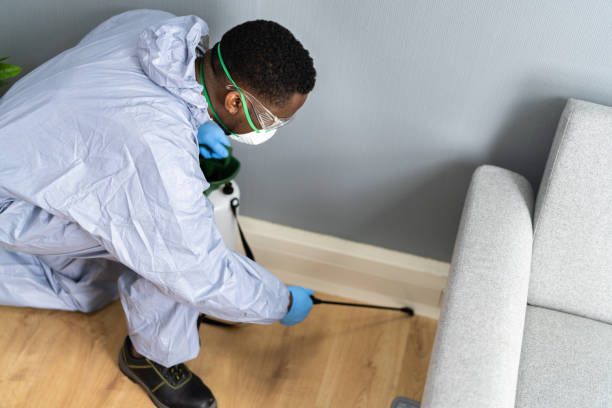 Best Pest Prevention Services  in Oceanside, CA